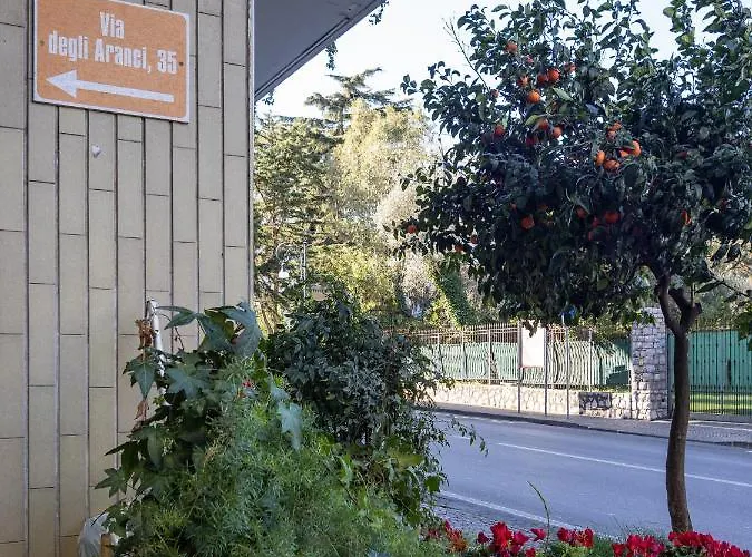 Orange - De Vivo Realty